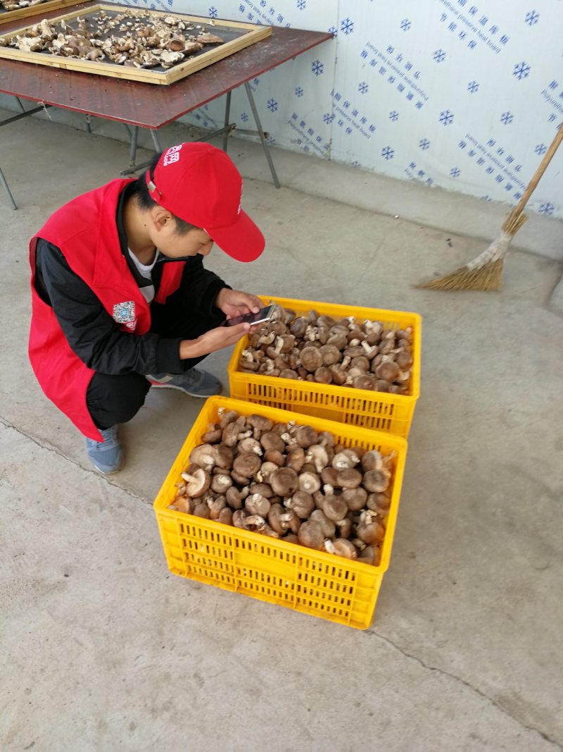 陕西汉中留坝