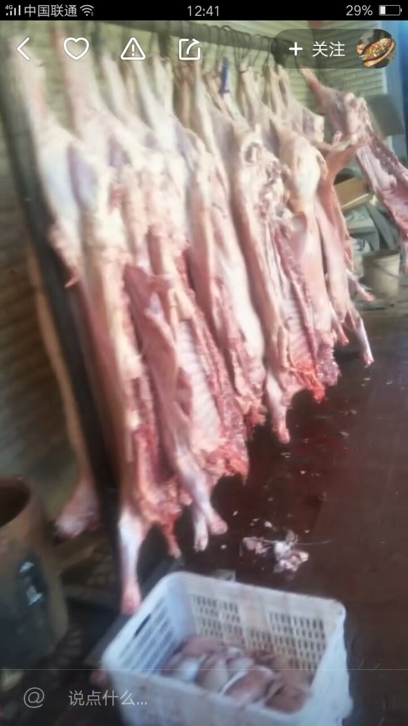 育肥羊肉卷