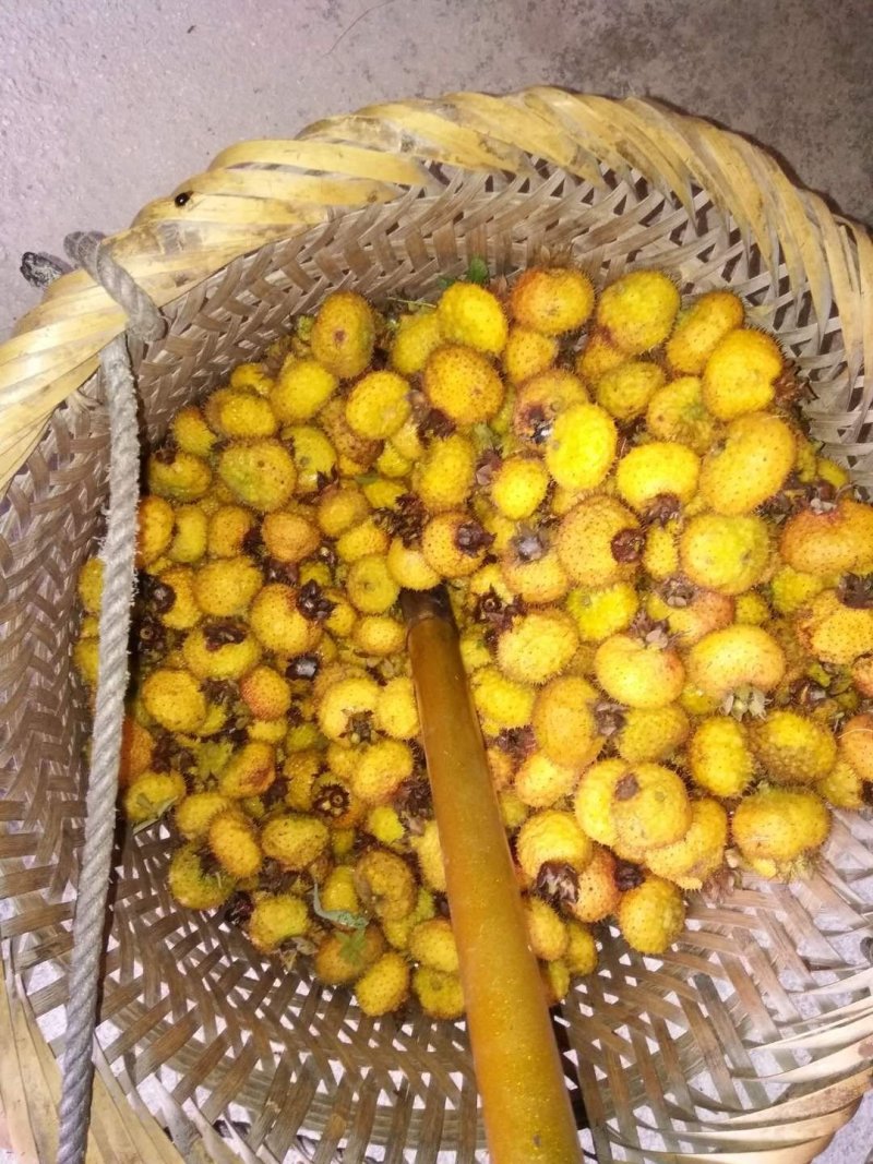 无公害绿色食品维C王