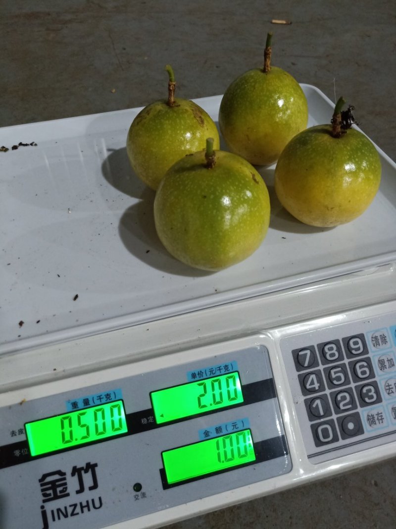 钦蜜9号黄金百香果芭乐味蜂蜜百香果新鲜热带水果产地直销
