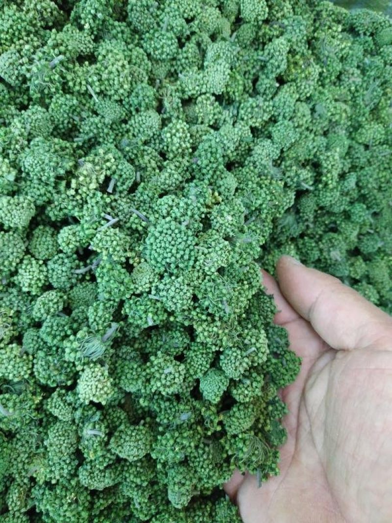 文山三年三七花云南人工干货现货