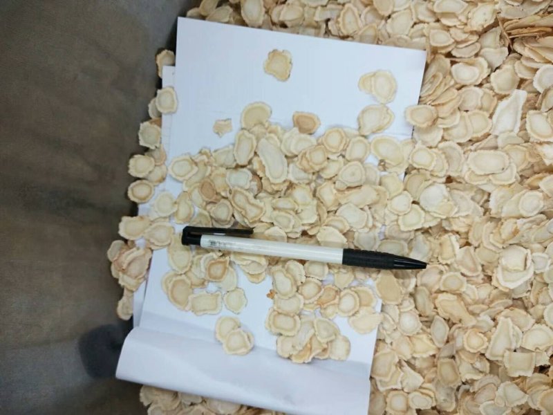 西洋参进口500克起批无硫***包邮只做正品