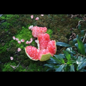 薄皮绿籽石榴
