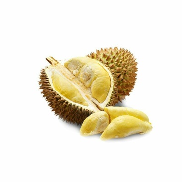 佳沃泰国金枕榴莲