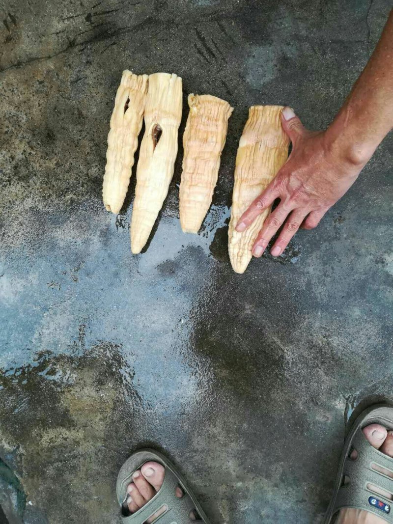 笋干烟笋干泡笋干