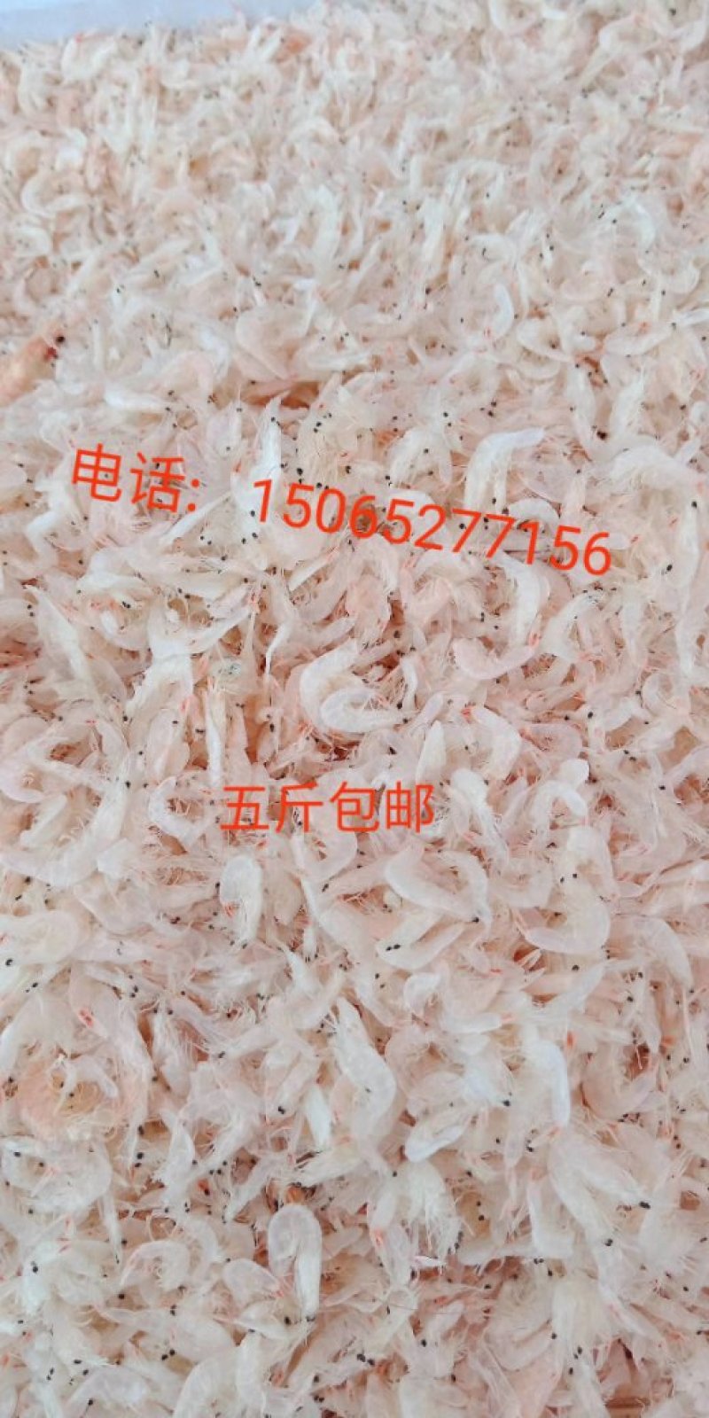 特级淡干虾皮