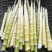 纯天然绿色食品《方竹笋》