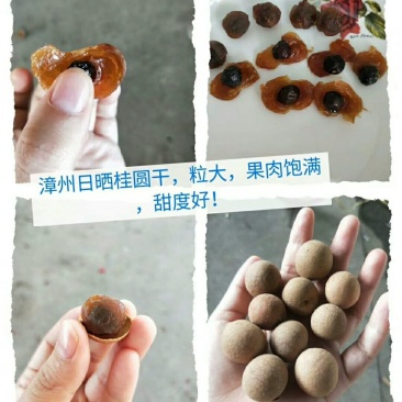 龙眼干