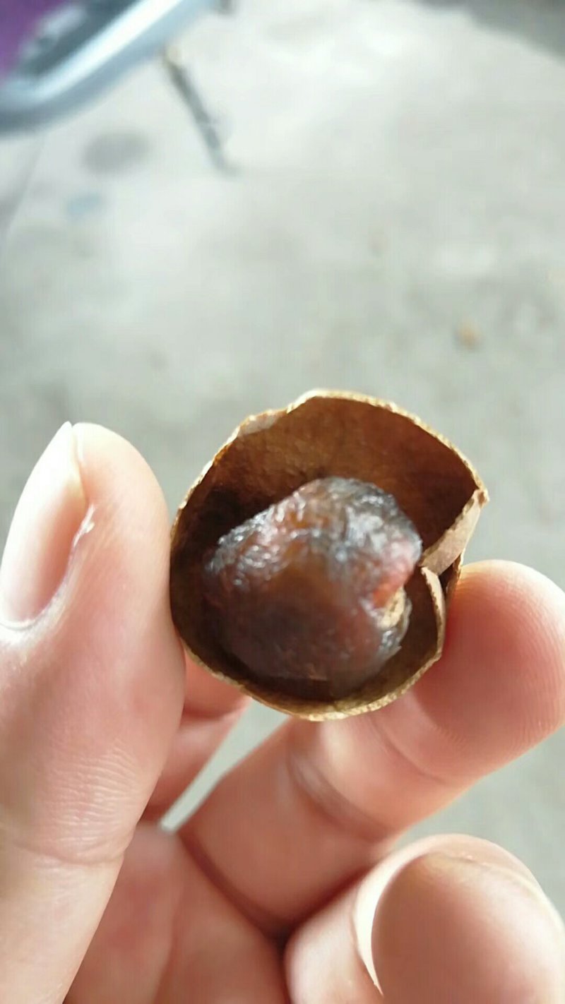龙眼干