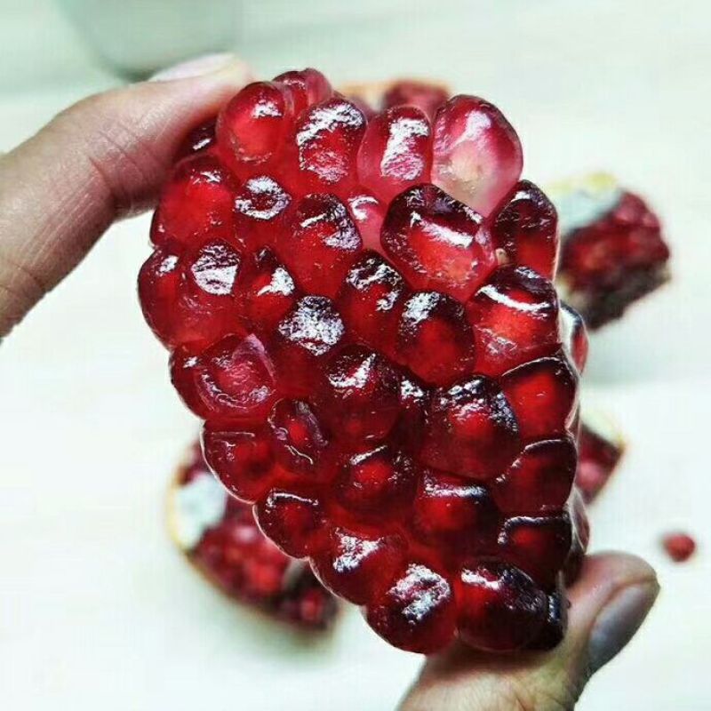 突尼斯🇹🇳软籽石榴实拍