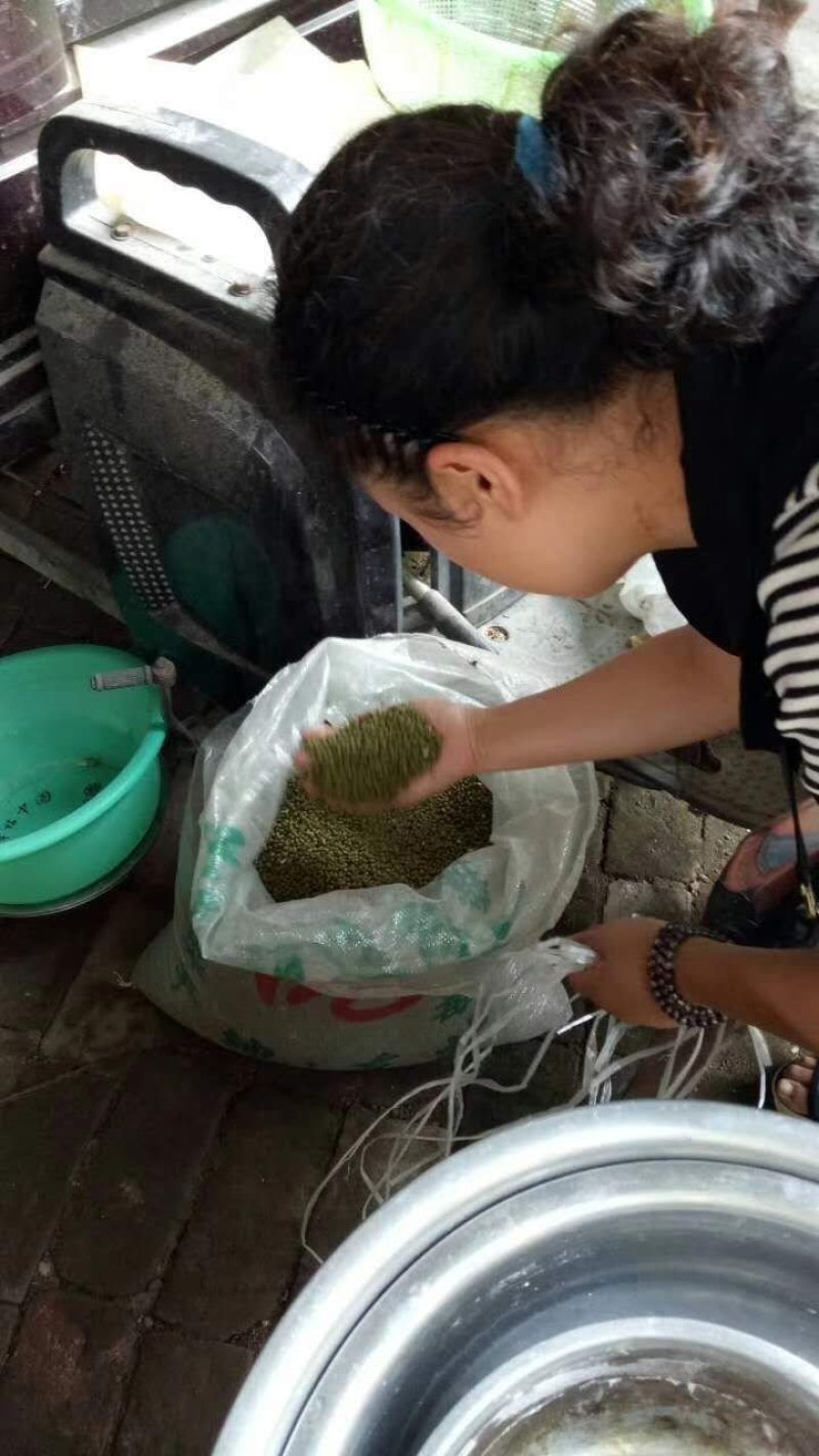 绿豆粉皮纯手工制作
