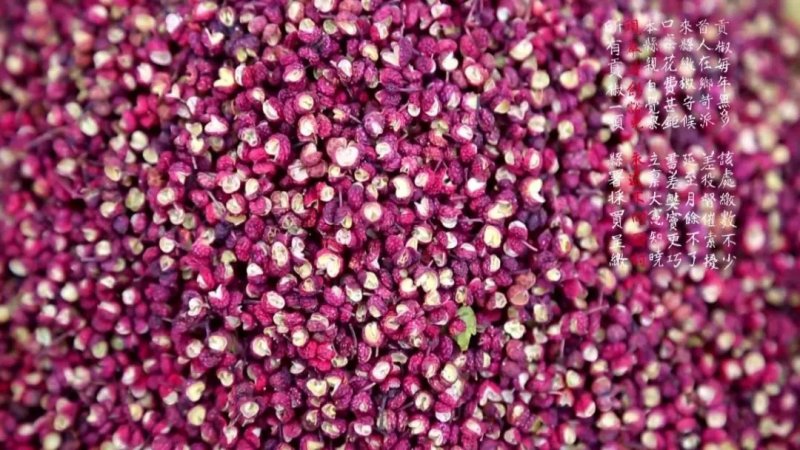 汉源干花椒