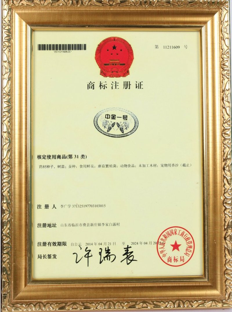 金银花苗“中金一号”四季树形金银花包活包纯度包技术指导