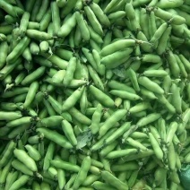蚕豆