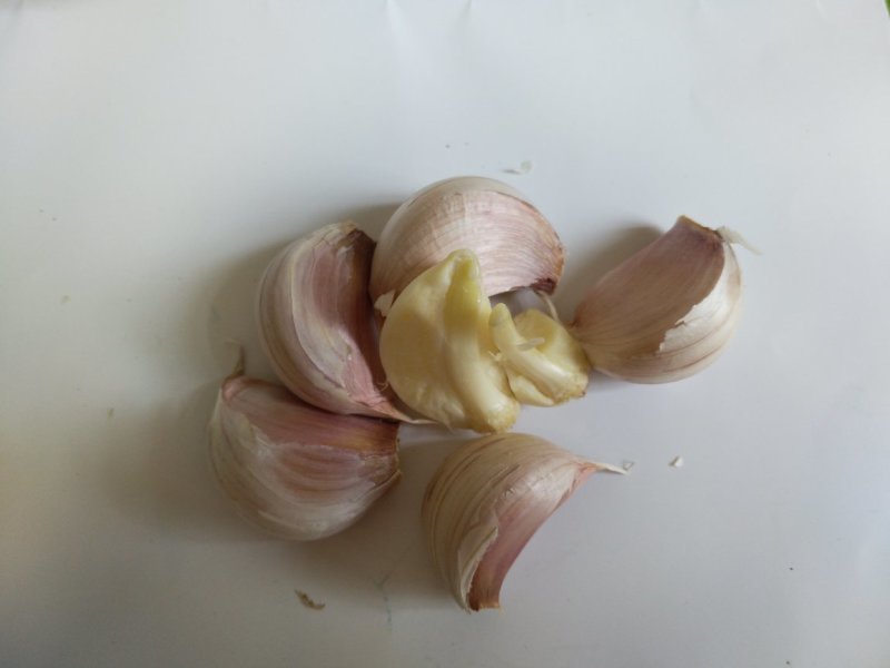 大蒜，红皮大蒜种子批发