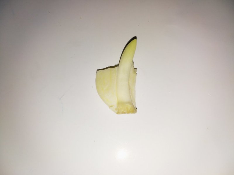 大蒜，红皮大蒜种子批发