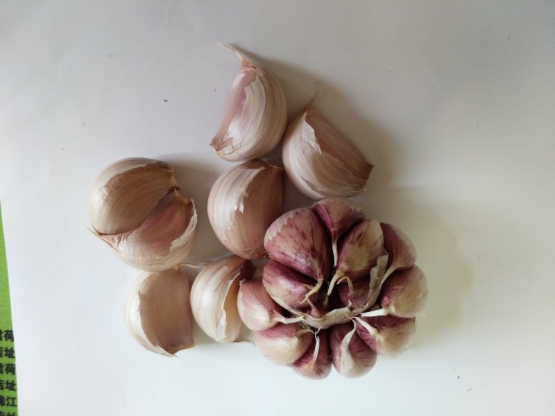 大蒜，红皮大蒜种子批发