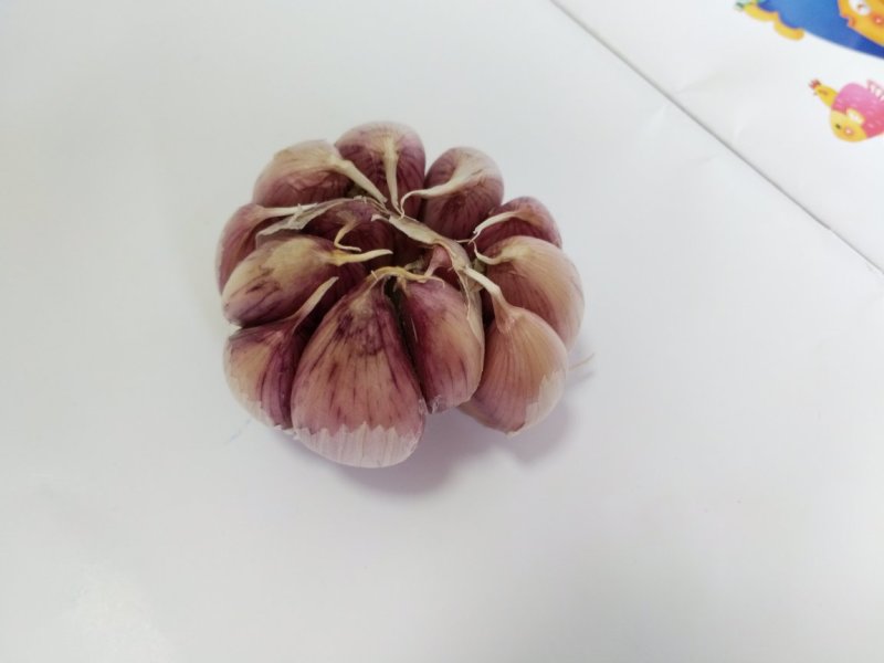 大蒜，红皮大蒜种子批发