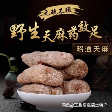 天麻