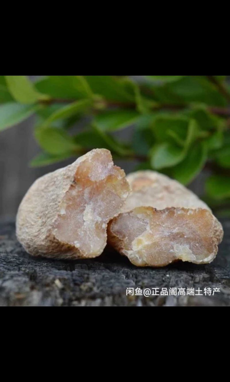 天麻