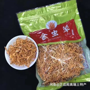 金虫草，