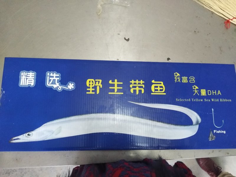 带鱼大小规格都有