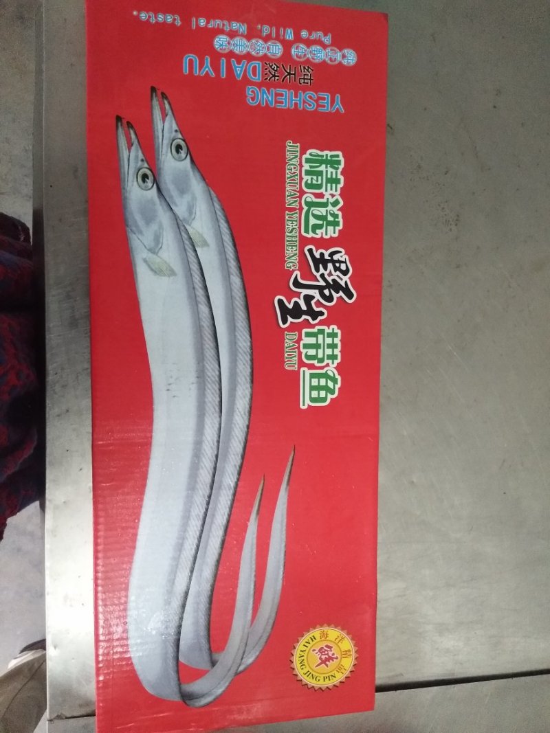 带鱼大小规格都有