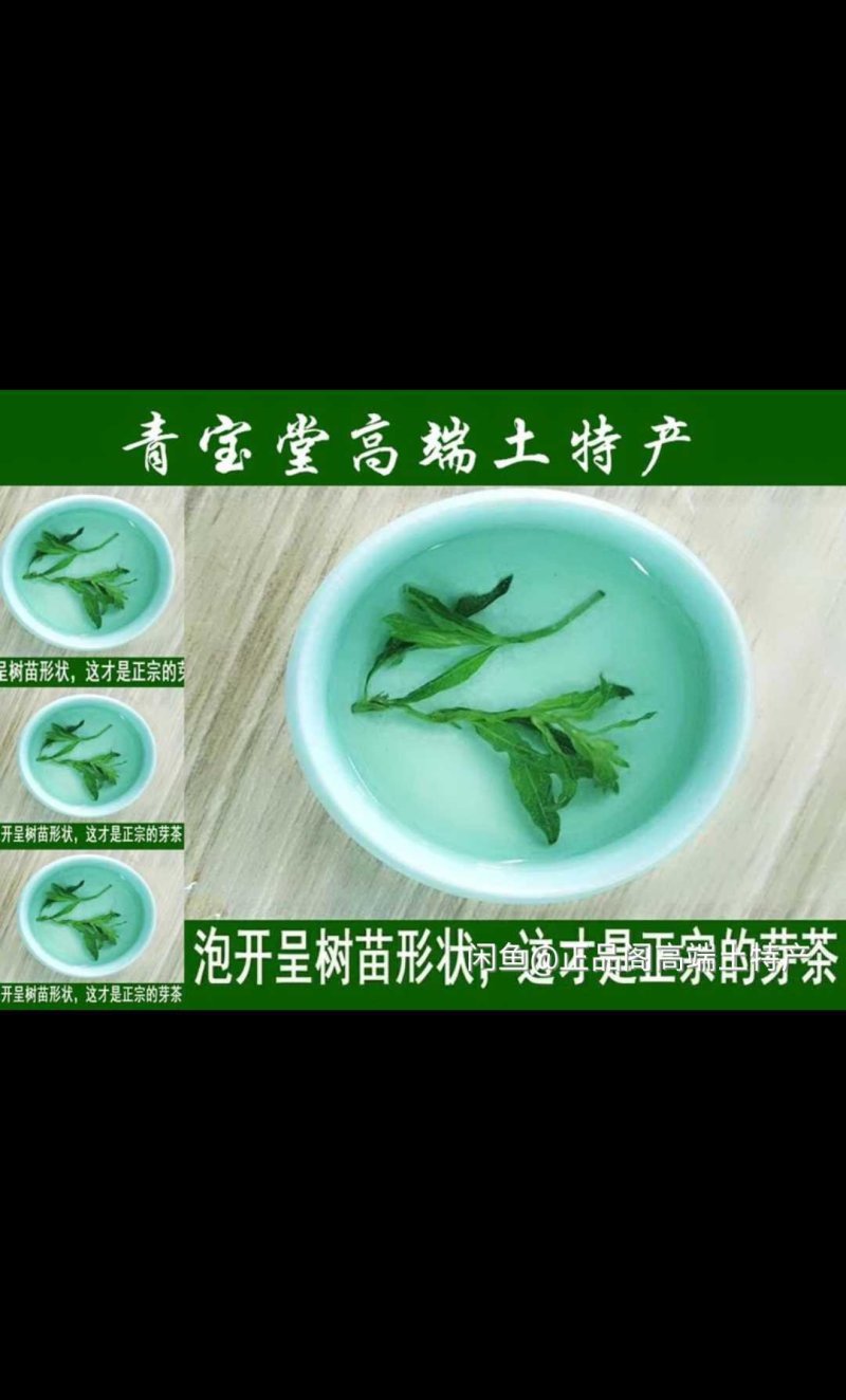 枸杞芽茶