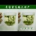 枸杞芽茶