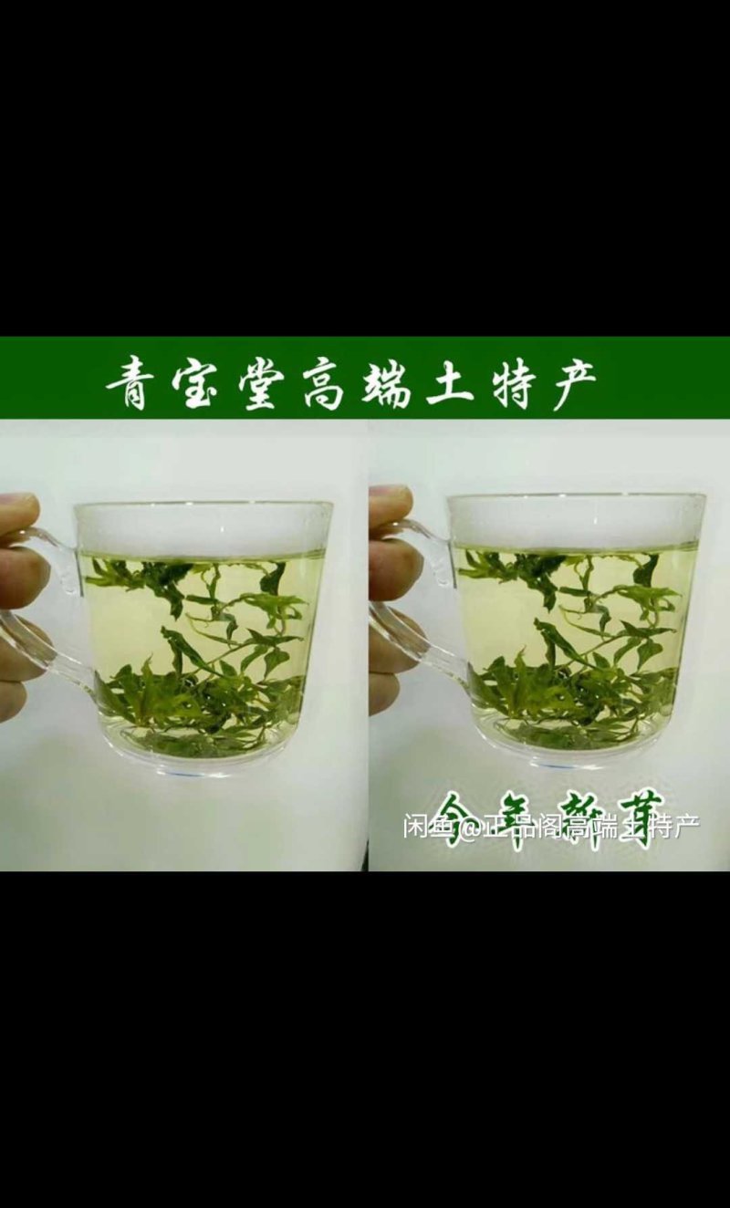 枸杞芽茶