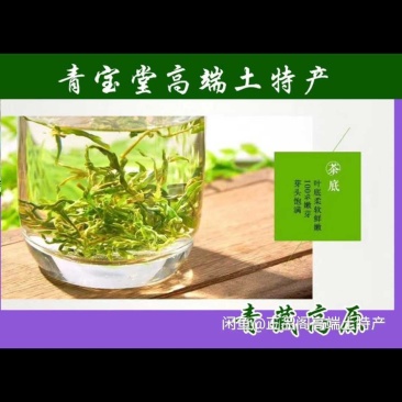 枸杞芽茶