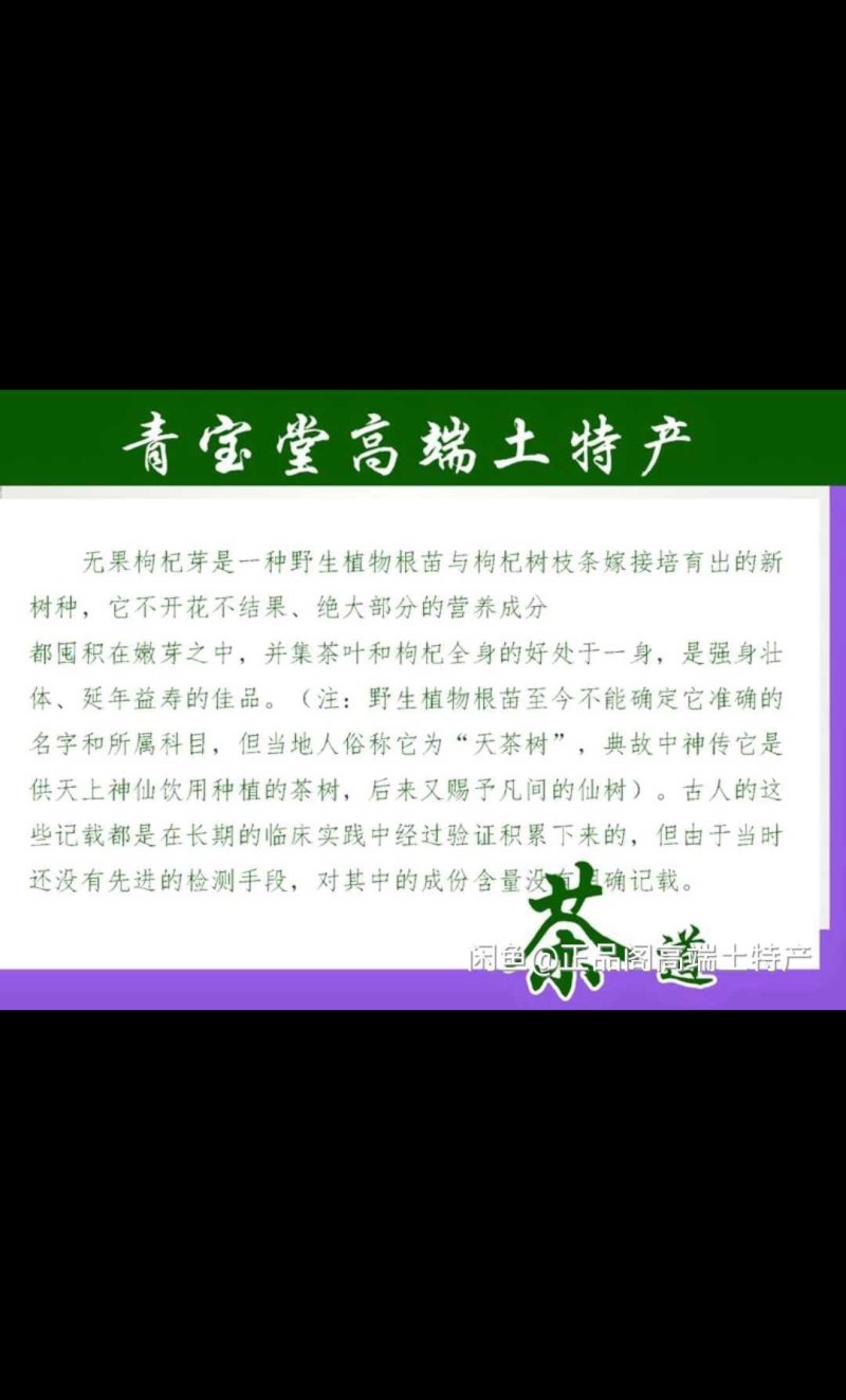 枸杞芽茶