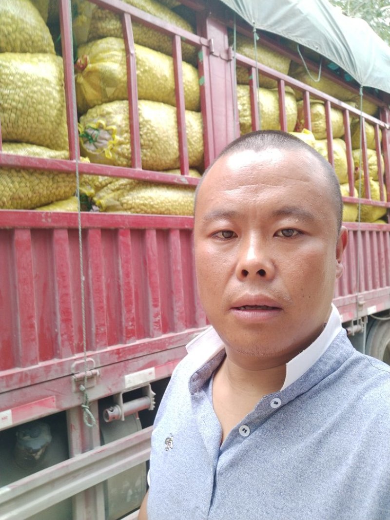 【精品】鲜花生，鲁花系列，产地直供，一手货源，代发全国。