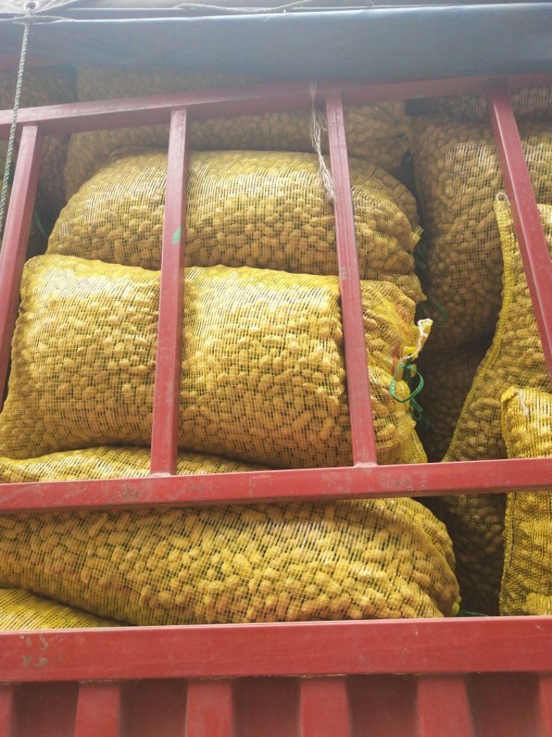【精品】鲜花生，鲁花系列，产地直供，一手货源，代发全国。