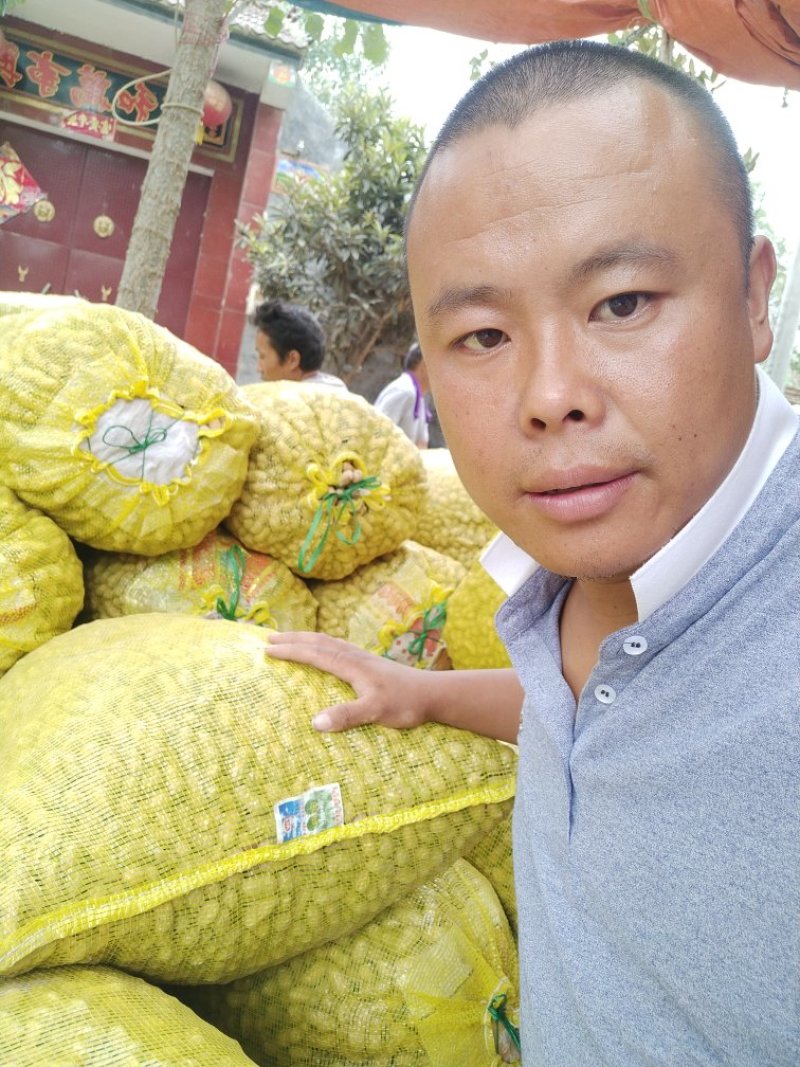 【精品】鲜花生，鲁花系列，产地直供，一手货源，代发全国。