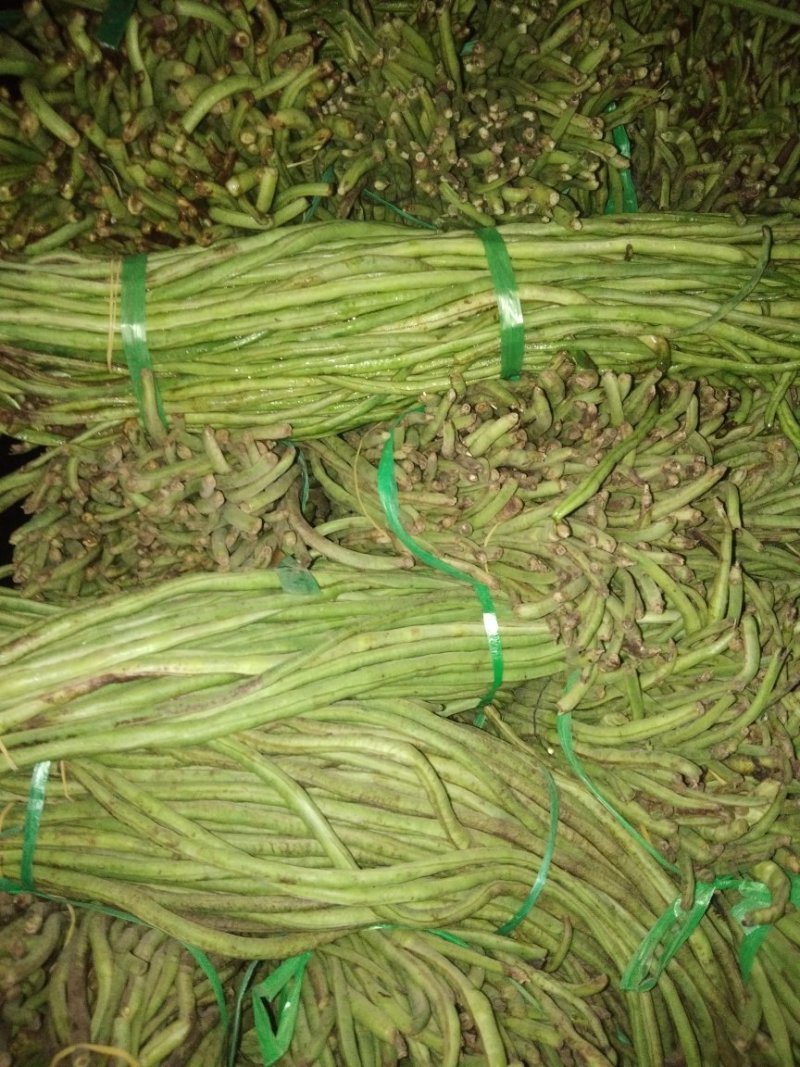 长豆角、江豆角
