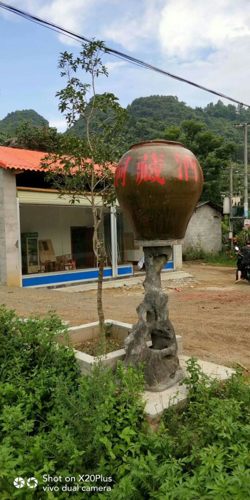 仙穴家酿洞藏酒——家乡的味道
