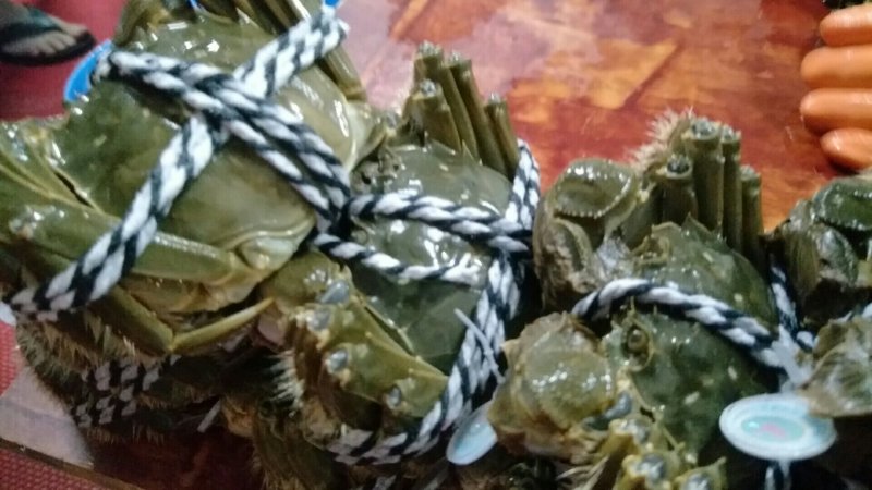 阳澄湖大闸蟹精品