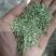 茴香小茴香甘肃小茴香批发甘肃玉门花海小茴香味道好