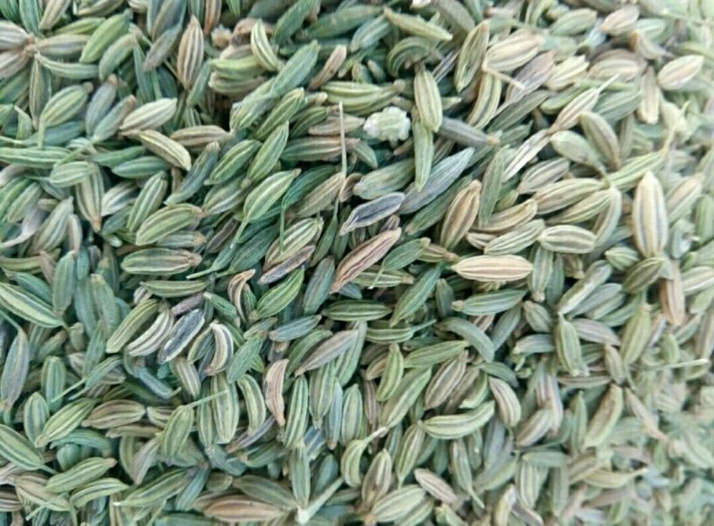 茴香小茴香甘肃小茴香批发甘肃玉门花海小茴香味道好