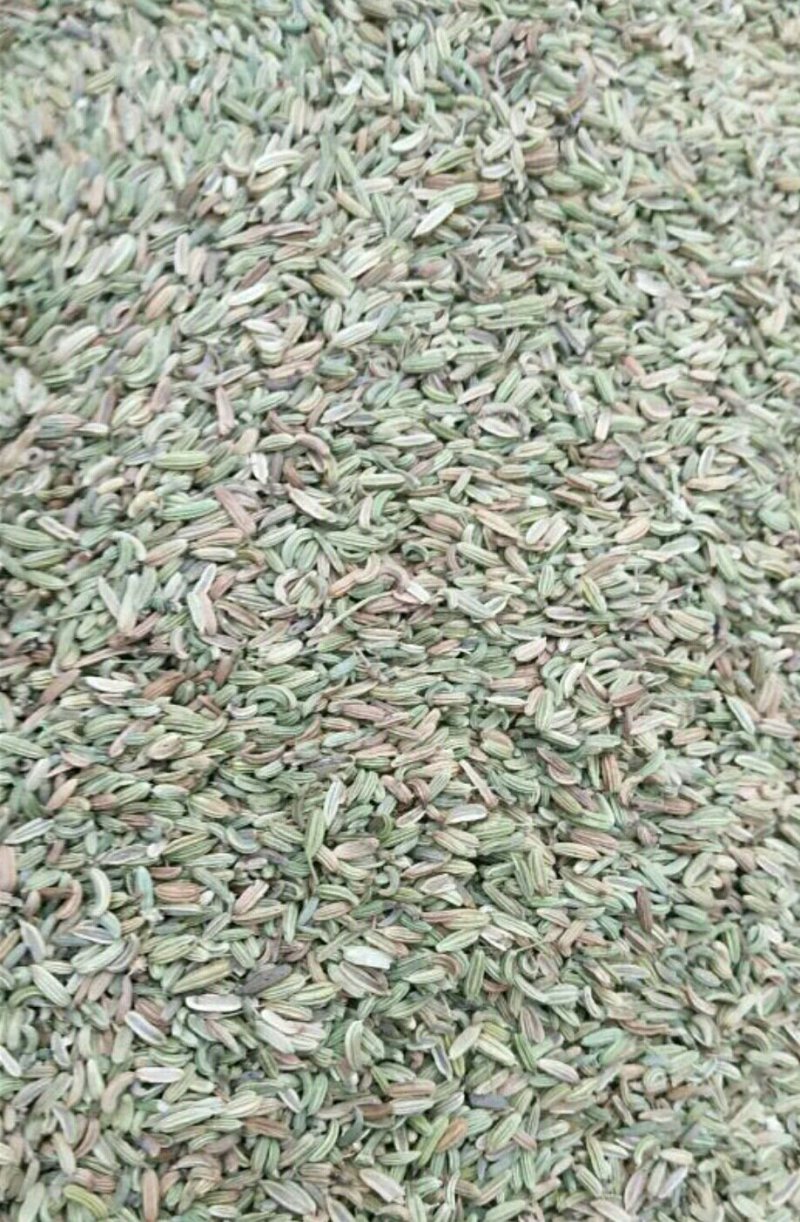 茴香小茴香甘肃小茴香批发甘肃玉门花海小茴香味道好