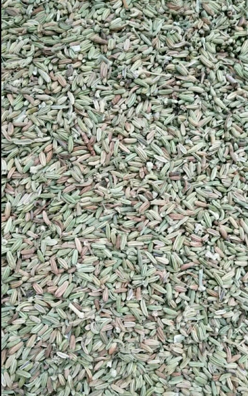 茴香小茴香甘肃小茴香批发甘肃玉门花海小茴香味道好