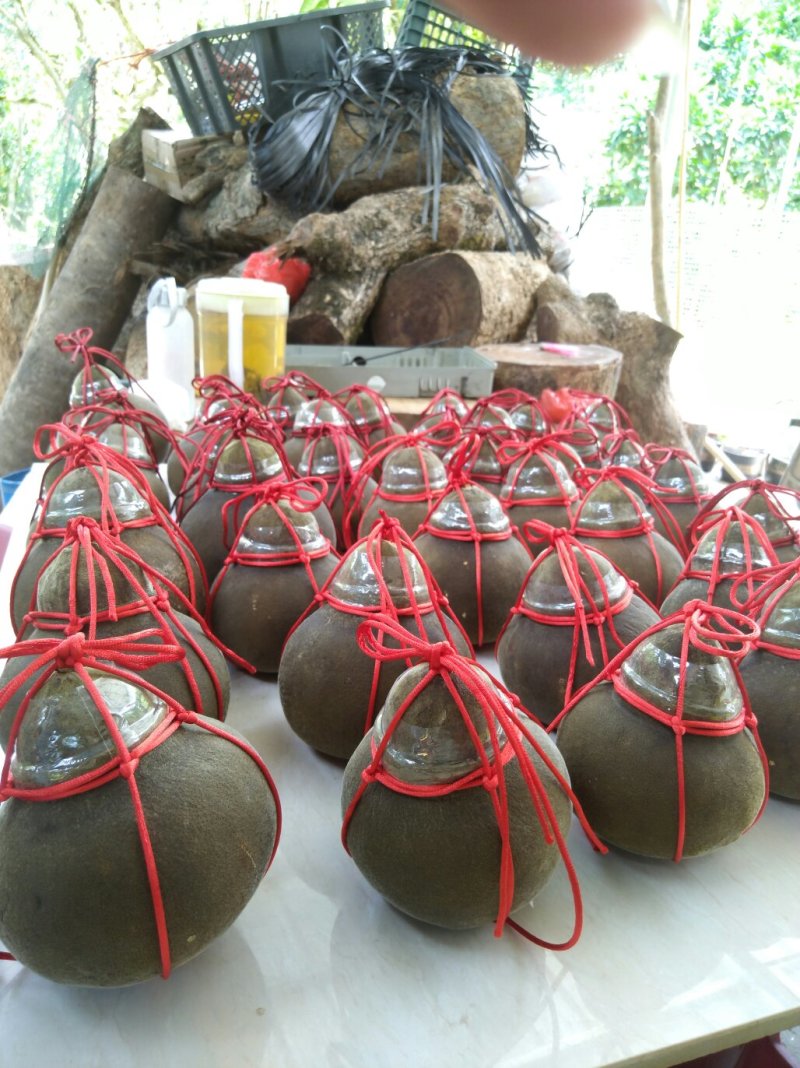 橘红普洱茶（果子盖款）每个约150至220克之间