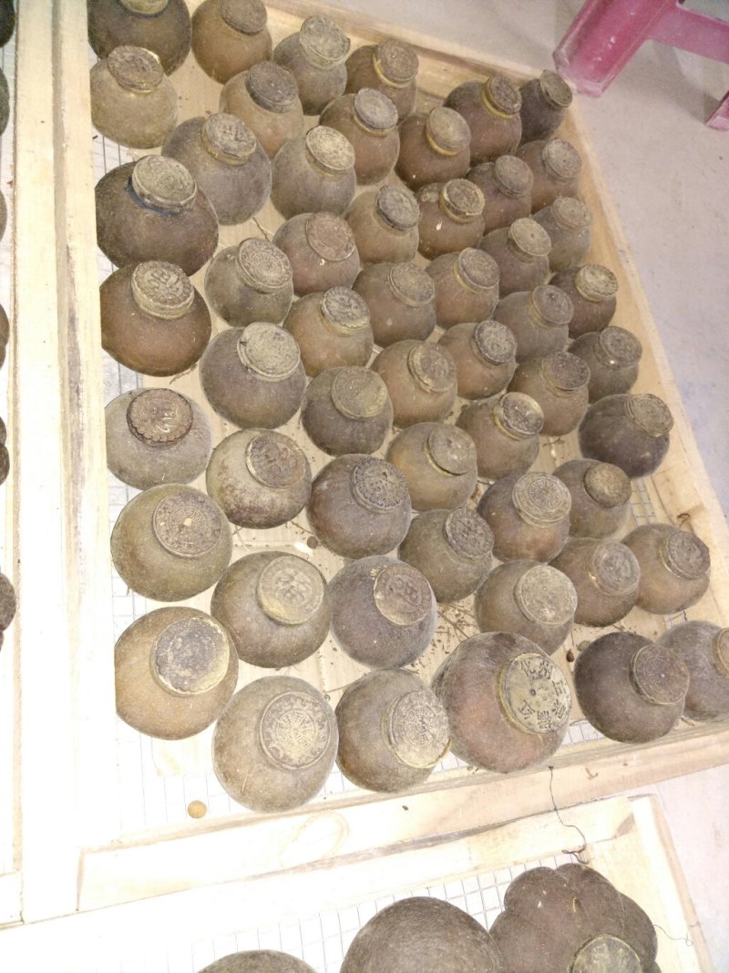 橘红普洱茶（盖子款）每个约130至200克之间