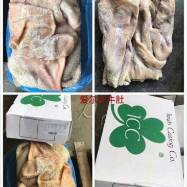 牛肚