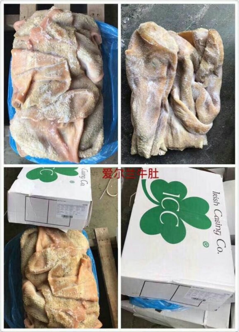 牛肚