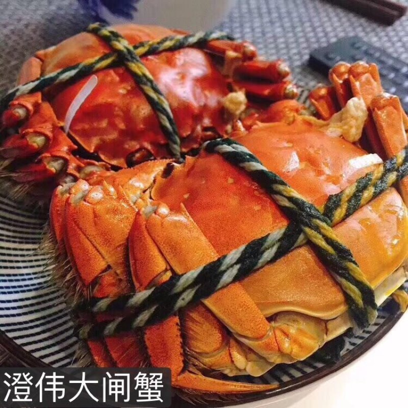 阳澄湖大闸蟹