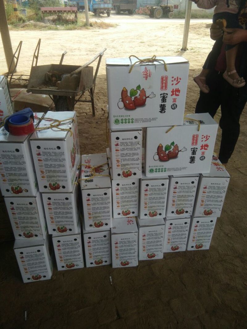 龙薯九，济薯26,烟薯25,西瓜红地瓜，