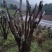 其它