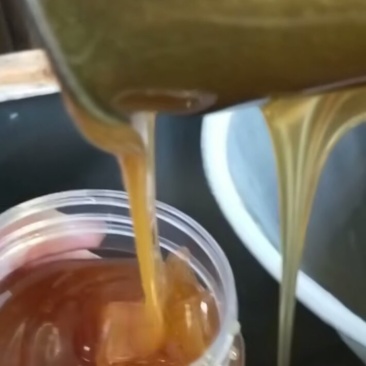 土蜂蜜假一陪万